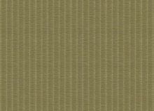 Обои в тропическом стиле Zambaiti Architexture 2 Z57715