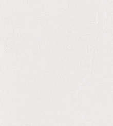 Bernardo Bartalucci Gaga  84284-7