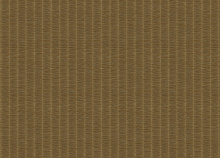 Обои в тропическом стиле Zambaiti Architexture 2 Z57713